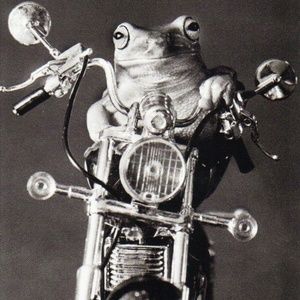 Meet your Posher, Barclay